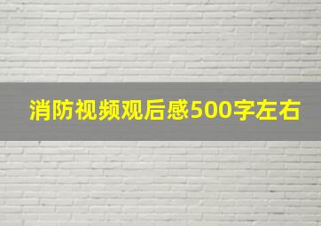 消防视频观后感500字左右