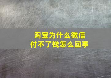 淘宝为什么微信付不了钱怎么回事