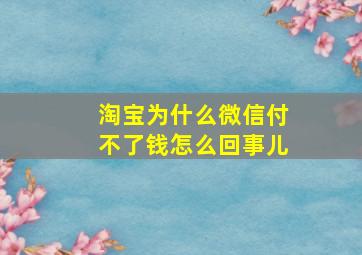 淘宝为什么微信付不了钱怎么回事儿