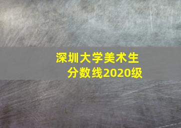 深圳大学美术生分数线2020级