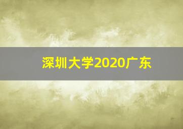 深圳大学2020广东