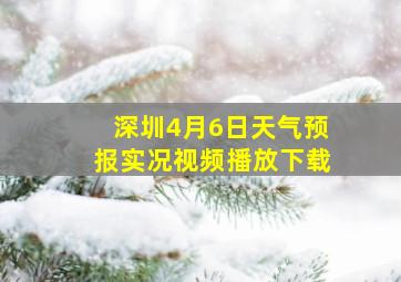 深圳4月6日天气预报实况视频播放下载