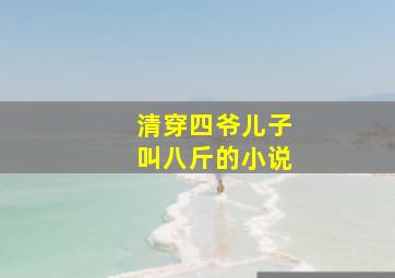 清穿四爷儿子叫八斤的小说