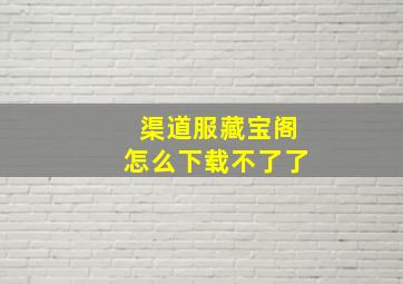 渠道服藏宝阁怎么下载不了了