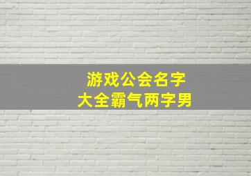 游戏公会名字大全霸气两字男