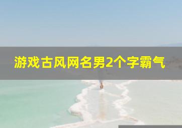 游戏古风网名男2个字霸气