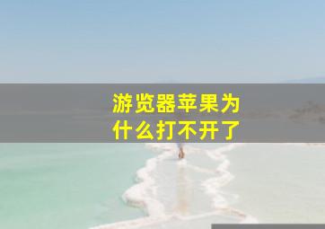 游览器苹果为什么打不开了