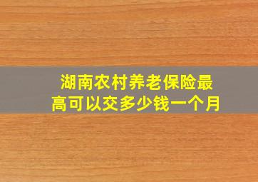 湖南农村养老保险最高可以交多少钱一个月