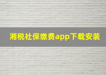 湘税社保缴费app下载安装