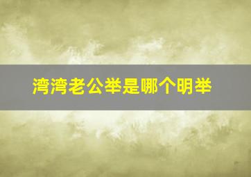 湾湾老公举是哪个明举