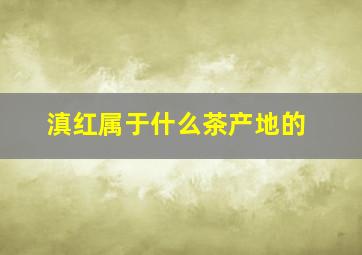 滇红属于什么茶产地的