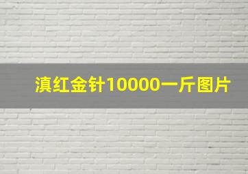 滇红金针10000一斤图片