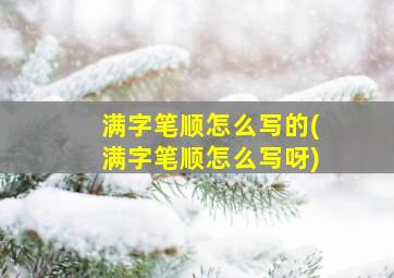 满字笔顺怎么写的(满字笔顺怎么写呀)