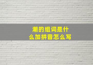 潮的组词是什么加拼音怎么写