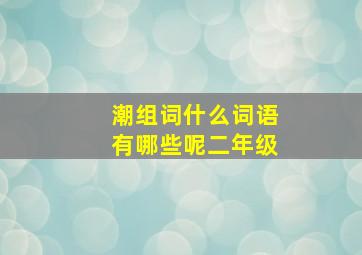 潮组词什么词语有哪些呢二年级