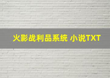 火影战利品系统 小说TXT