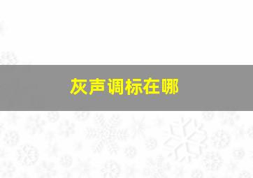 灰声调标在哪