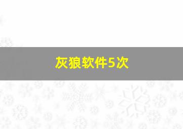 灰狼软件5次