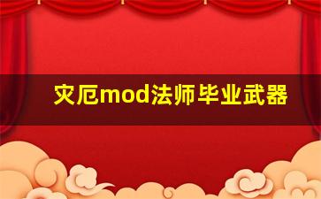 灾厄mod法师毕业武器