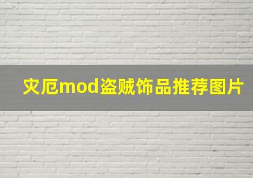 灾厄mod盗贼饰品推荐图片