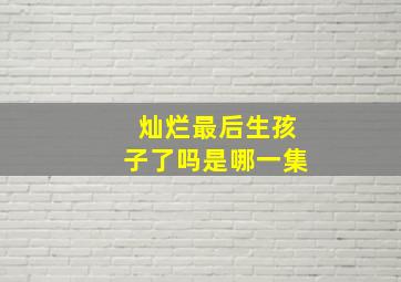 灿烂最后生孩子了吗是哪一集