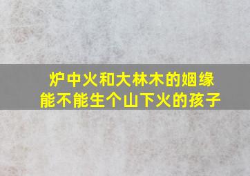 炉中火和大林木的姻缘能不能生个山下火的孩子