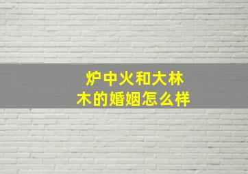 炉中火和大林木的婚姻怎么样