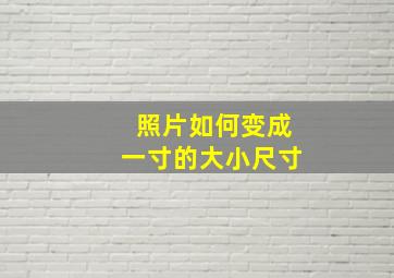 照片如何变成一寸的大小尺寸