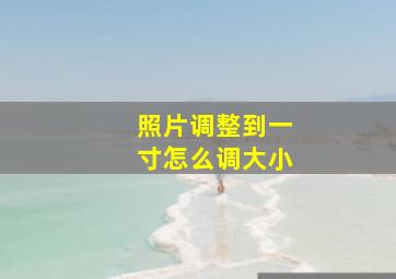 照片调整到一寸怎么调大小