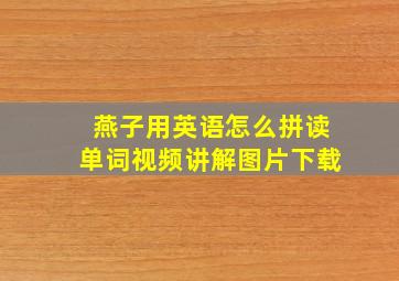 燕子用英语怎么拼读单词视频讲解图片下载