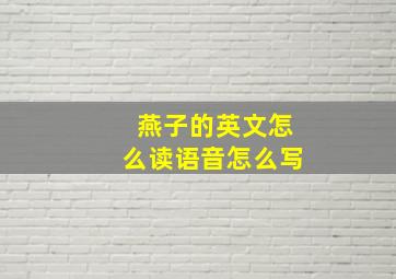 燕子的英文怎么读语音怎么写