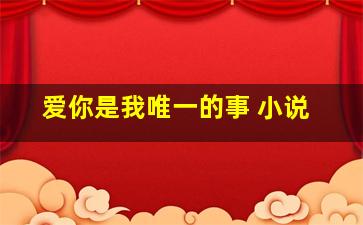 爱你是我唯一的事 小说