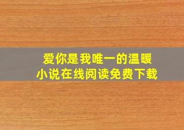 爱你是我唯一的温暖小说在线阅读免费下载