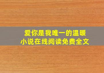 爱你是我唯一的温暖小说在线阅读免费全文