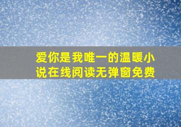 爱你是我唯一的温暖小说在线阅读无弹窗免费