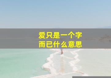 爱只是一个字而已什么意思