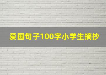 爱国句子100字小学生摘抄