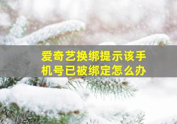 爱奇艺换绑提示该手机号已被绑定怎么办