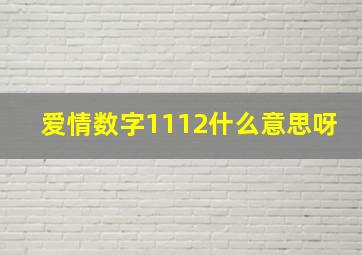 爱情数字1112什么意思呀