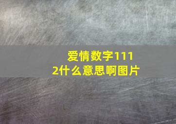 爱情数字1112什么意思啊图片