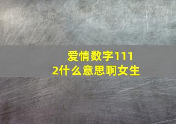 爱情数字1112什么意思啊女生