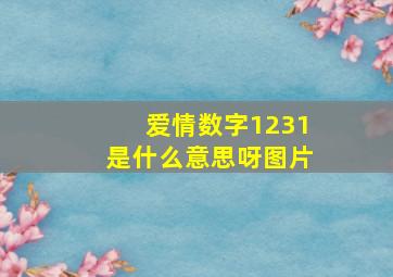 爱情数字1231是什么意思呀图片