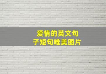 爱情的英文句子短句唯美图片