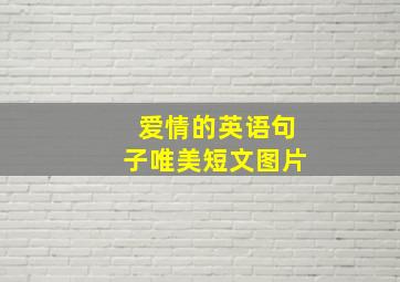 爱情的英语句子唯美短文图片