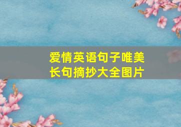 爱情英语句子唯美长句摘抄大全图片