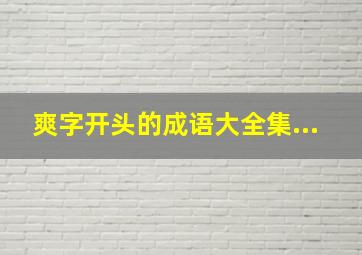 爽字开头的成语大全集...