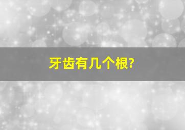 牙齿有几个根?