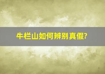 牛栏山如何辨别真假?