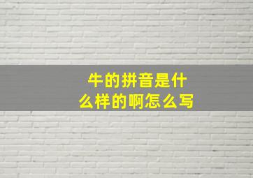 牛的拼音是什么样的啊怎么写