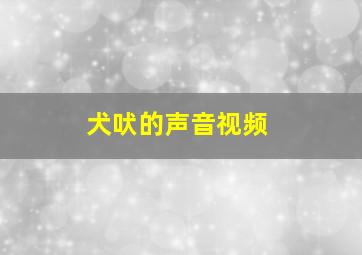 犬吠的声音视频